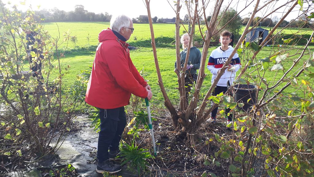 12 novembre Papillons au jardin 1