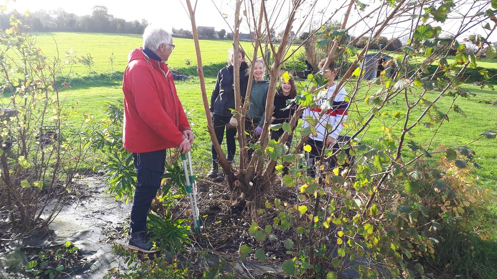 12 novembre Papillons au jardin 2