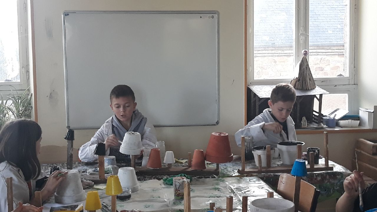 Resized 20221109 100847 3123