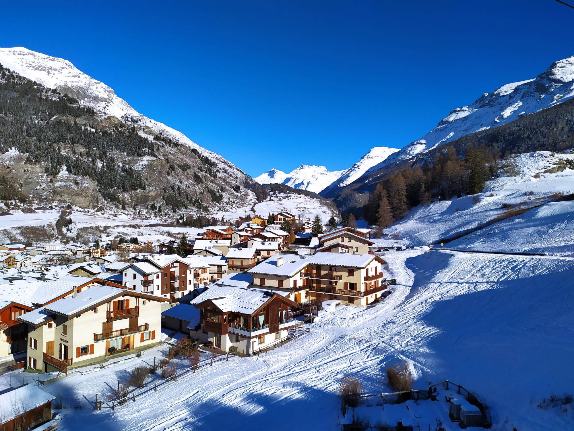 318993025 1293096488202081 3094743559739265126 n