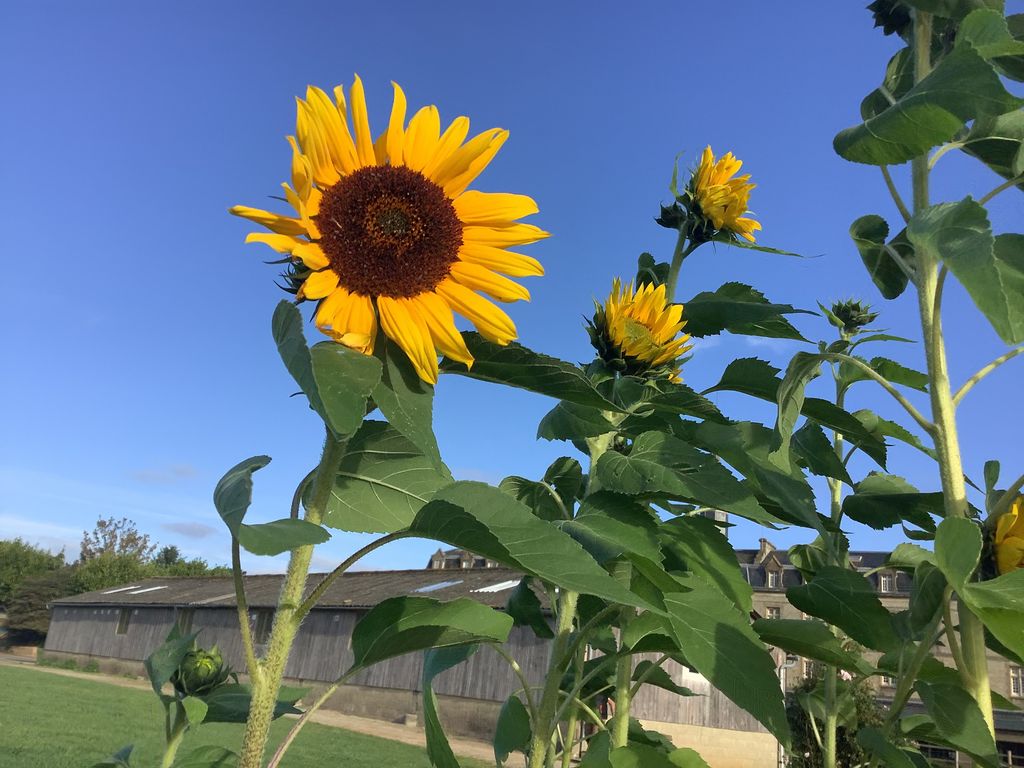 2023 09 20 09.54.31 2023 10 04 11 58 23