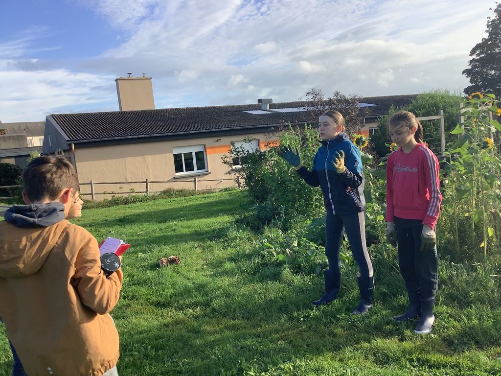 2023 09 20 09.55.37 2023 10 04 11 58 26