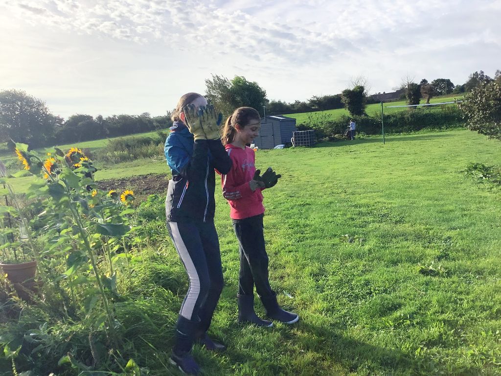 2023 09 20 09.55.59 2023 10 04 11 58 28