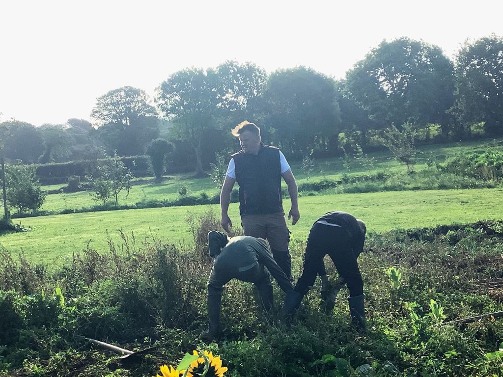 2023 09 20 09.56.16 2023 10 04 11 58 29