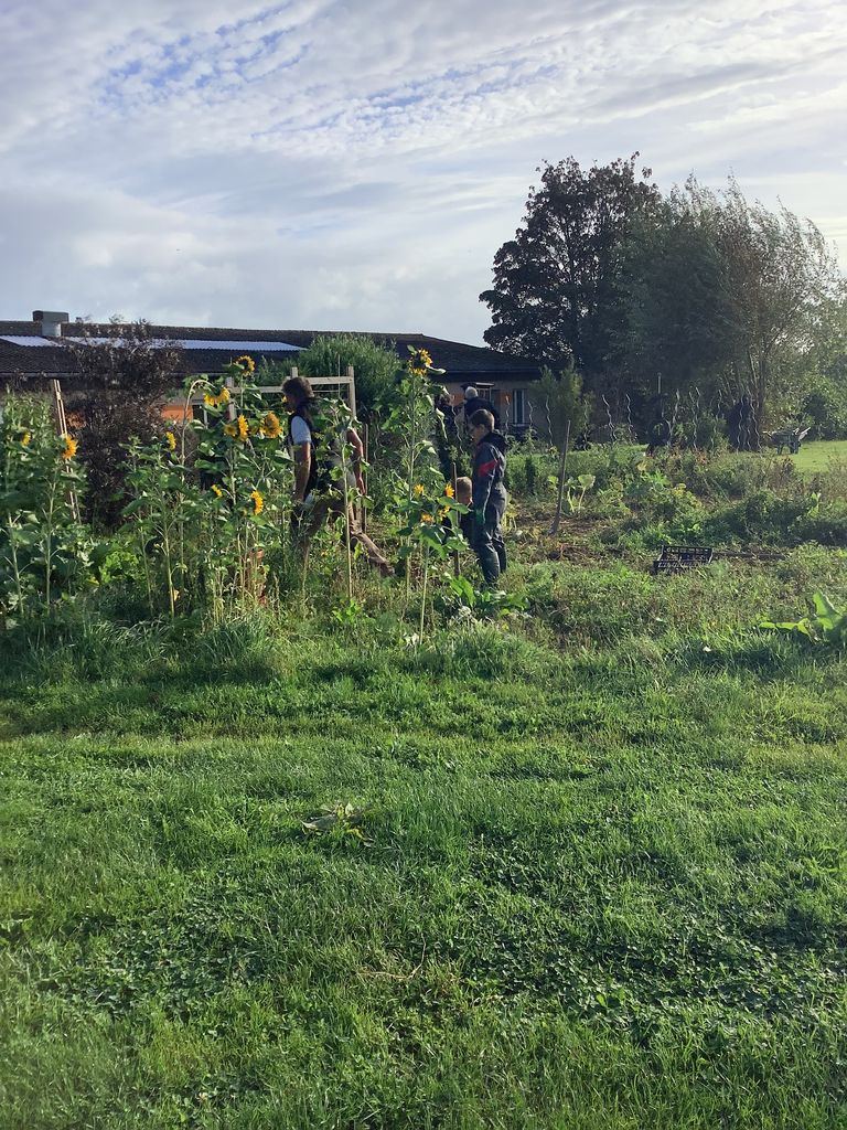 2023 09 20 09.58.09 2023 10 04 11 58 36