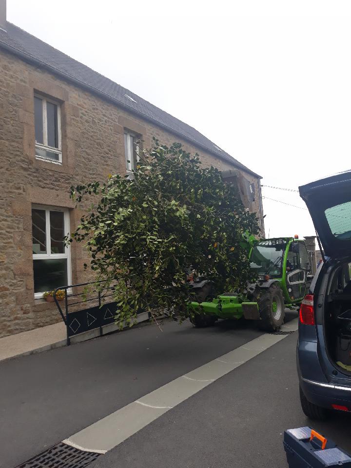 Resized 20190517 113110 8092001