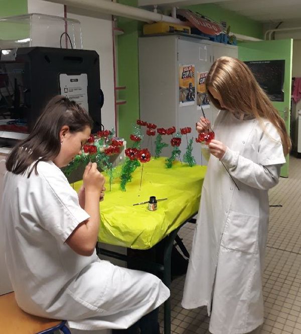 Resized 20180926 113951 8598001